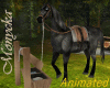 Cavalo preto