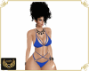 NJ] Royal Blue Bikini