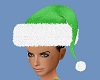 Grinch Fit Hat