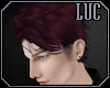 [luc] Raymond Wine