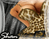*MSB*Cheetah (BM)