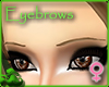 Thin Caramel Eyebrows