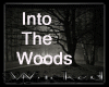 Wicked Into The Woods