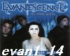 Evanescence-My immort..