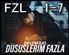Zedi-Dususlerim Fazla
