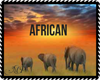 16 African Backgrounds