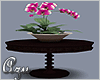 Antique Table 2 Orchid 2