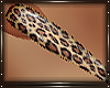 V| Cheetah Sparkles *XL