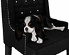 Puppy on Black Chair