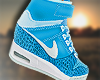 HighTop Blue Nikes F