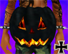 [RC] Pumpkinpelvis