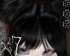 hair + bangs ★彡