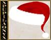 RED SANTA CLAUS HAT