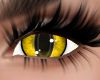 Meowtastic Golden Eyes