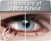 Tribute to David Bowie