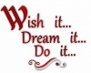 Wish Dream Do It -V5