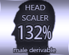 Head Resizer 132%
