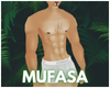 mufasa ❧ scarred lion