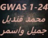 Mohamed Qandil-Gamil W A