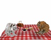 tiger picnic 1