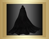 Lady Obscure cloak