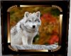 Arctic Wolf Dog