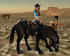 Black Steed