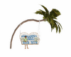 tropical palm swing 1