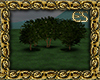 ES| Andirian Trees IV