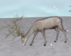 *Winter Deer #2