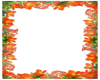tiger lily frame