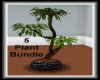 [JS] Plant Bundle 1