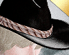✶Montana Hat