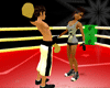 ~Di~A.Boxing ring