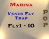 MARINA - Venus Fly Trap