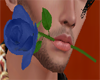 Blue Rose In Mouth