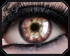 [LG] Eyes Coral