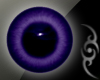 [XA] Indigo Eyes -M-
