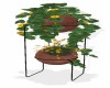 Plants w/ Stand 5