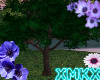 xMKx I Spring R. Tree
