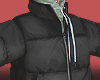 Puff Jacket.