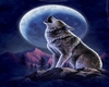 Blue Moon Wolf Bar