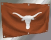 [TB] Longhorn Flag