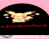 Kinkachu Stand