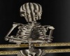 Annie's Skeleton