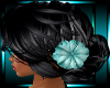 LTR Fannie Blk/Teal Flwr