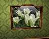Framed White Tulip