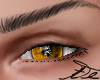 A- Orange Eye M