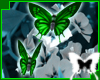2 Emerald Butterflies