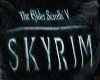 SKYRIM TEE